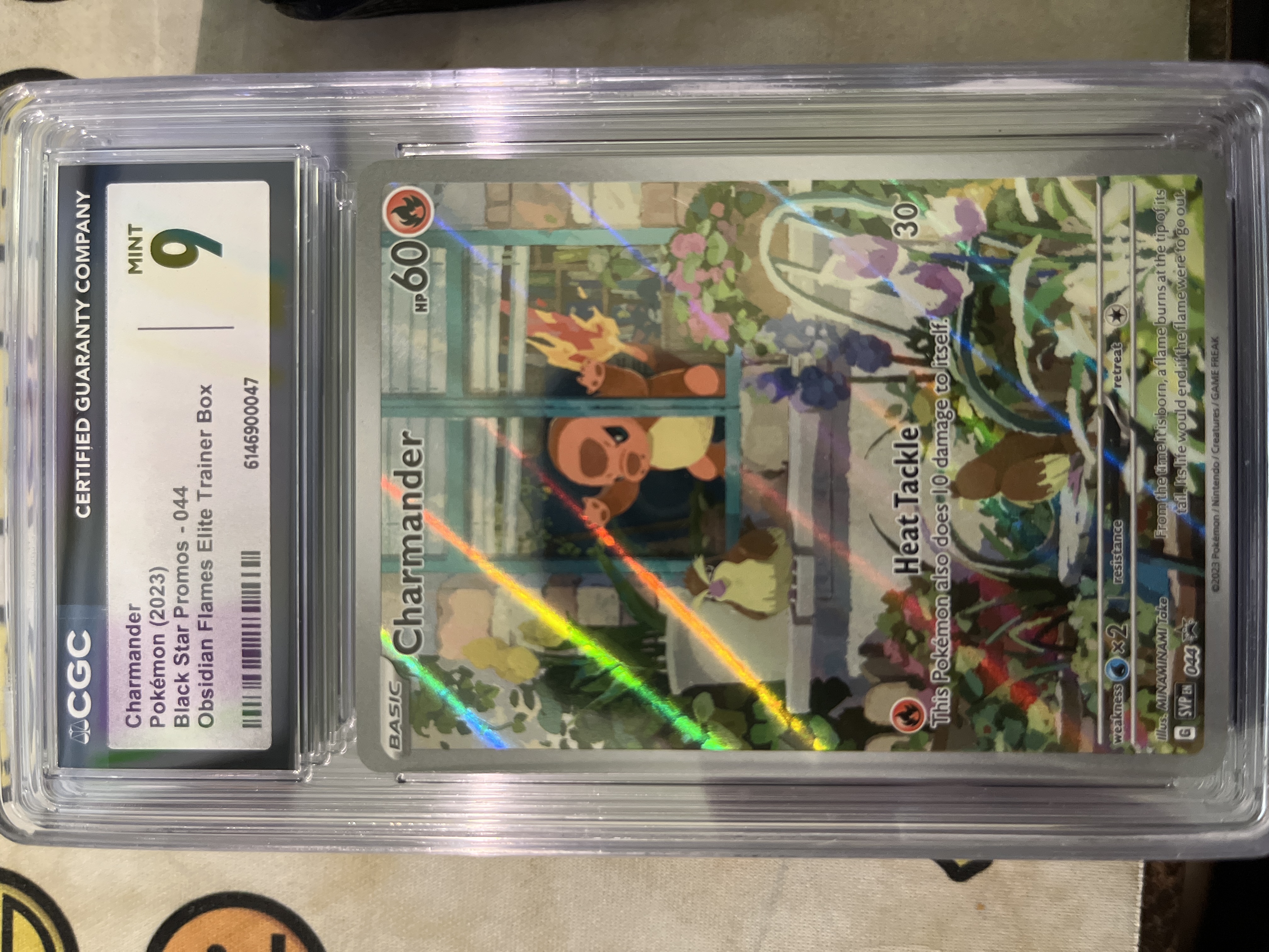 Charmander Obsidian Flames Elite Trainer Box (044) 2023 Pokemon